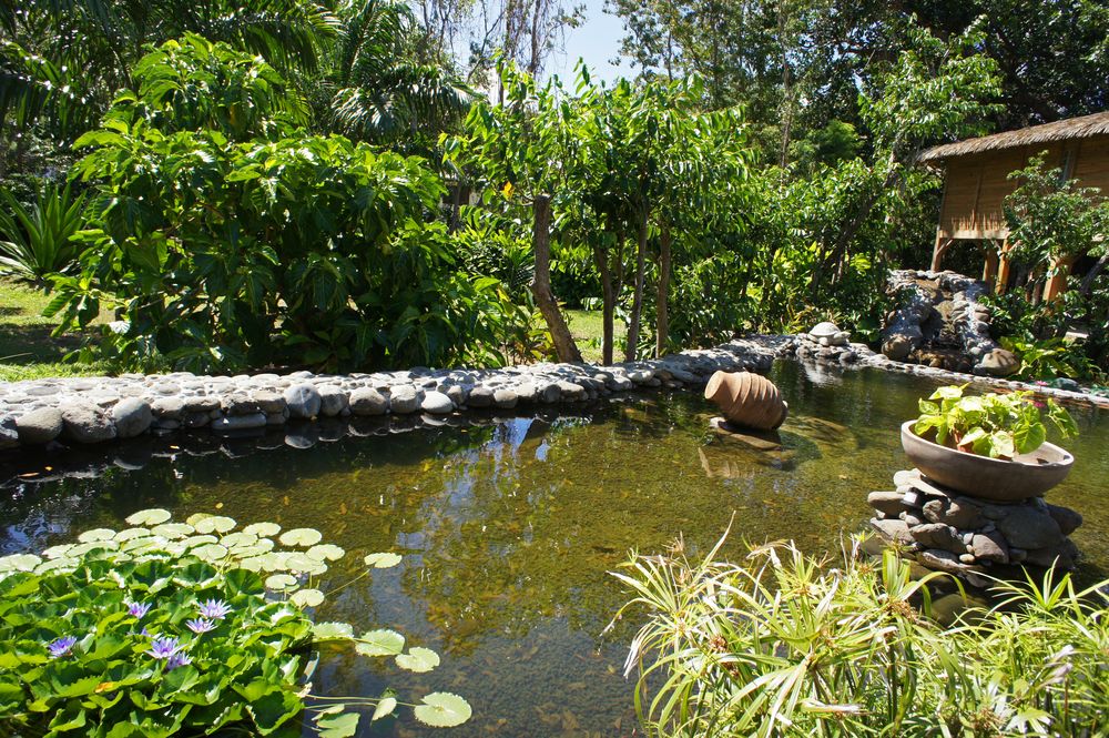 bassin de jardin guadeloupe